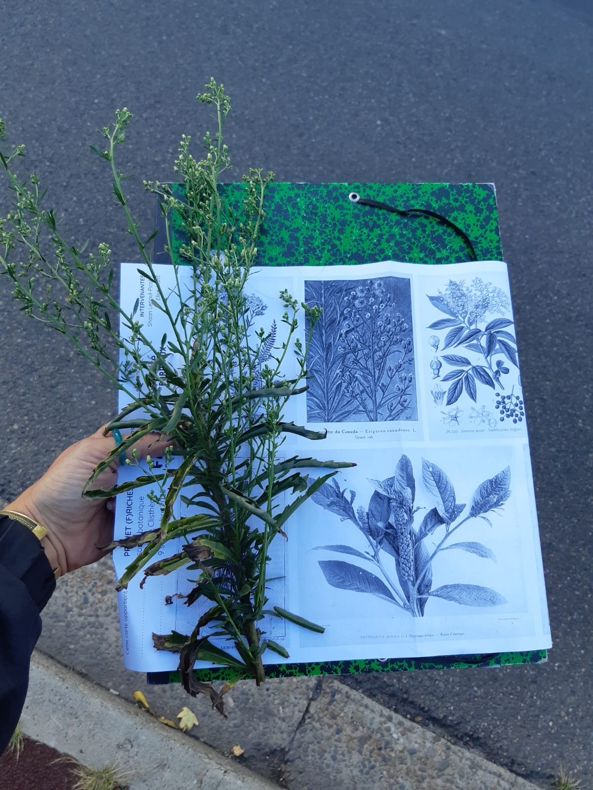 Projet « Friche »